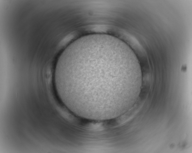 X0000102410120200808152014