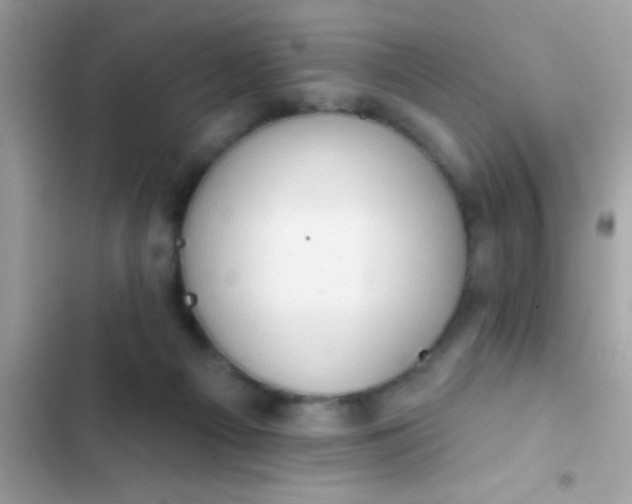 X0000102410121200808152014