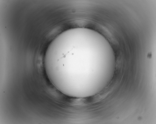 X0000102410122200808152014