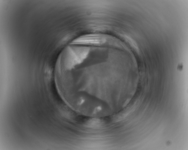 X0000102410123200808152014