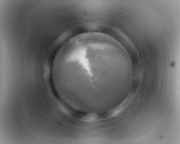 X0000102410124200808152014