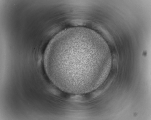 X0000102410125200808152014