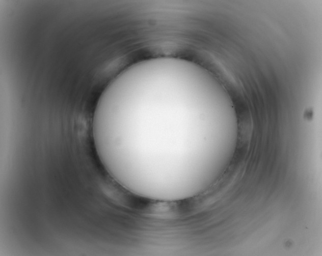 X0000102410126200808152014