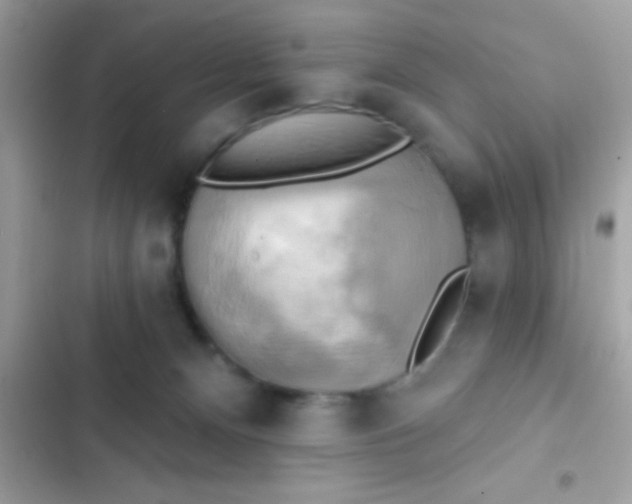 X0000102410128200808152014