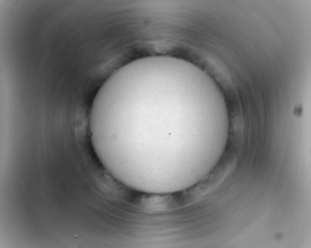 X0000102410129200808152014