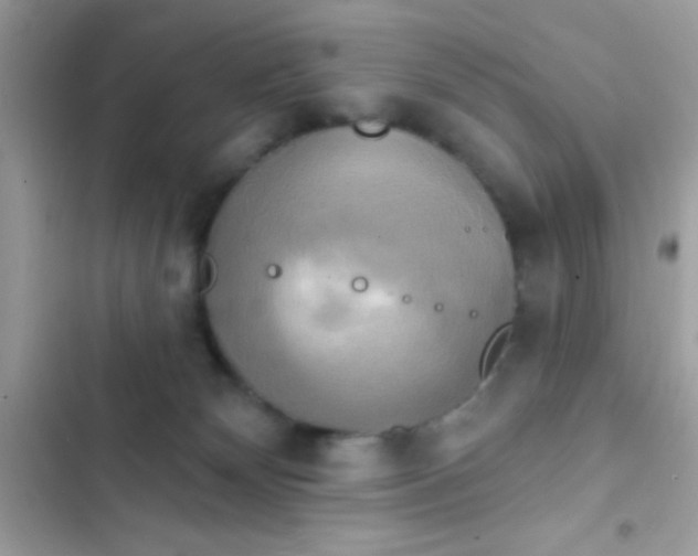 X0000102410132200808152014