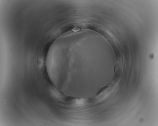 X0000102410134200808152014