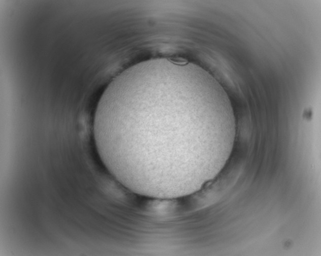 X0000102410135200808152014