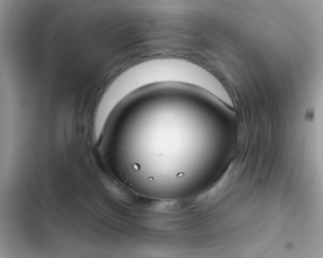 X0000102410136200808152014