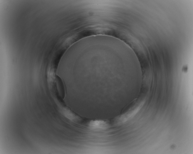 X0000102410137200808152014