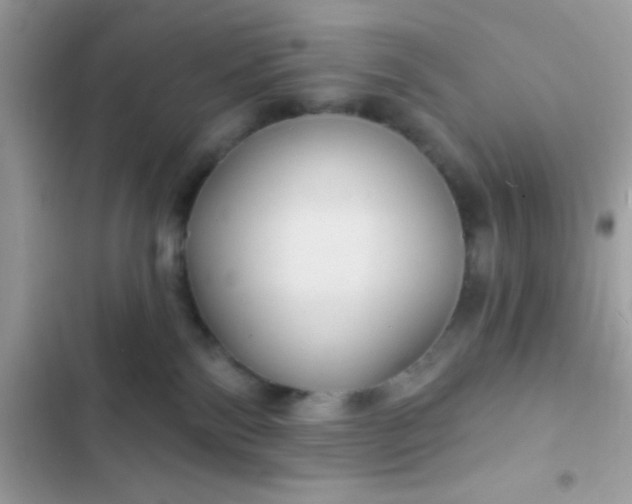 X0000102410138200808152014