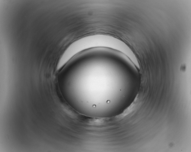 X0000102410140200808152013