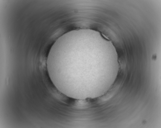 X0000102410141200808152013