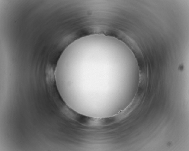 X0000102410142200808152013