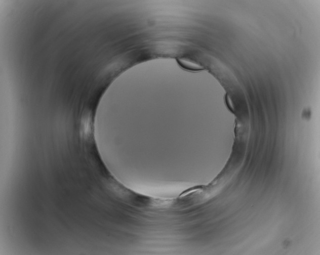 X0000102410143200808152013