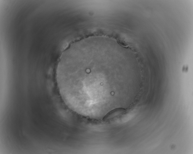 X0000102410144200808152013