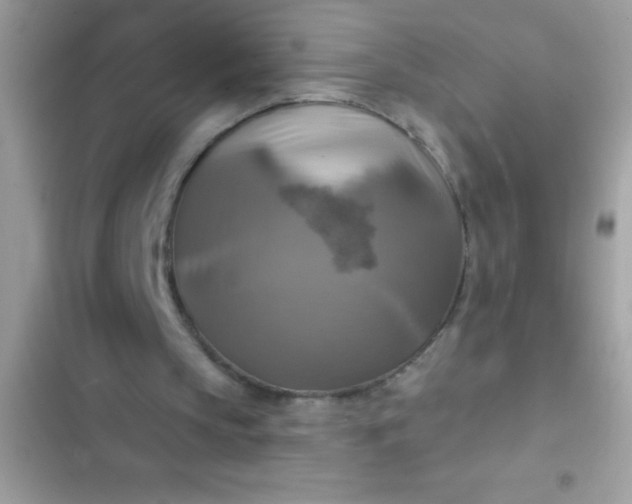 X0000102410145200808152013