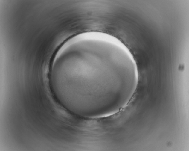 X0000102410146200808152013