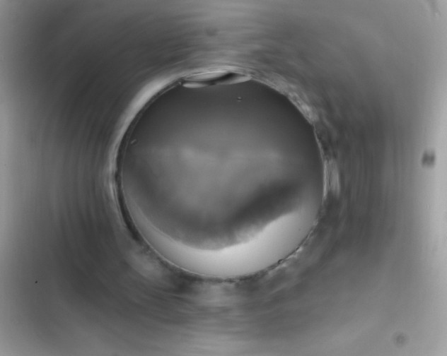 X0000102410147200808152013