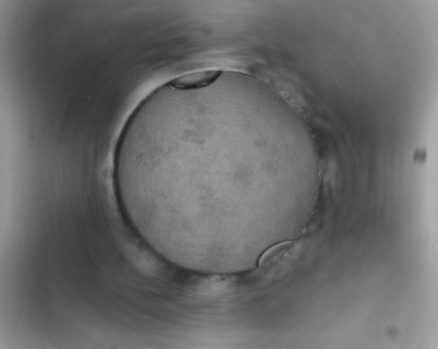 X0000102410148200808152013