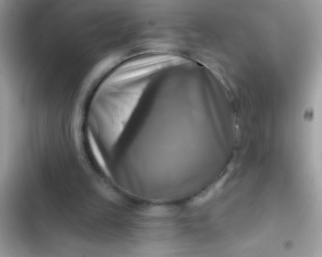 X0000102410149200808152013