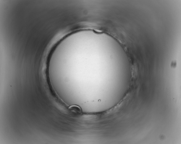 X0000102410150200808152013