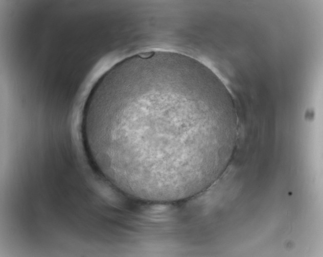 X0000102410151200808152013