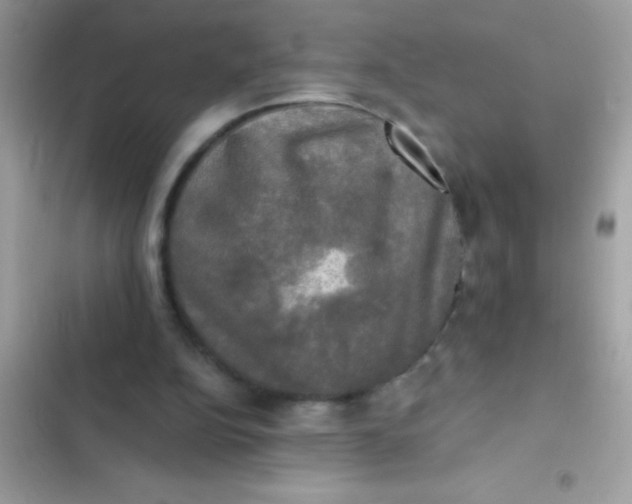 X0000102410152200808152013