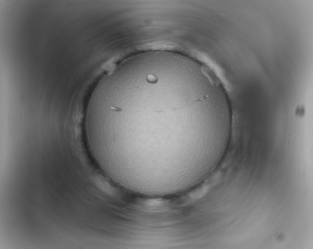 X0000102410153200808152013