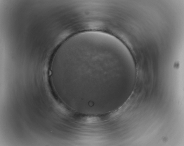 X0000102410154200808152013