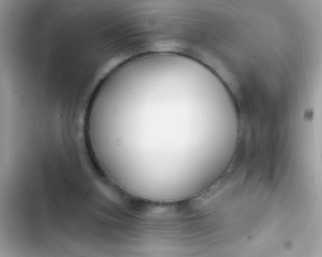 X0000102410155200808152013