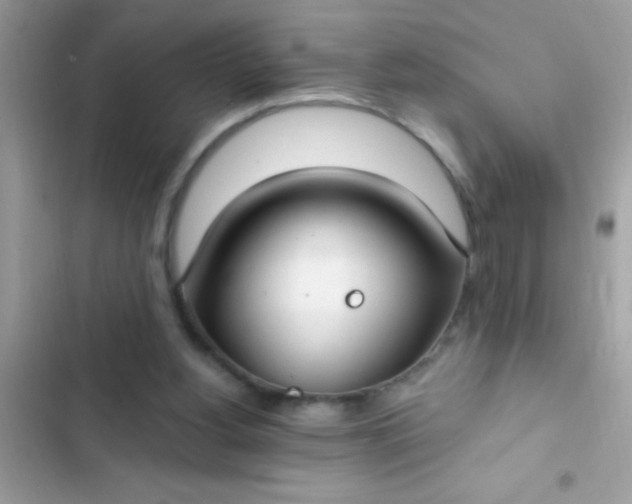 X0000102410156200808152013