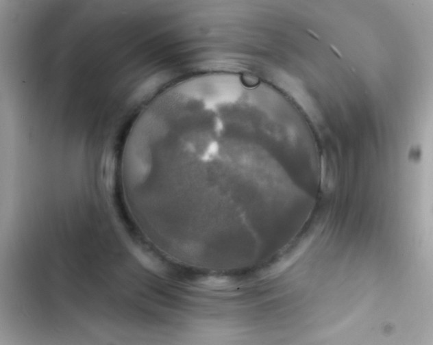 X0000102410157200808152013