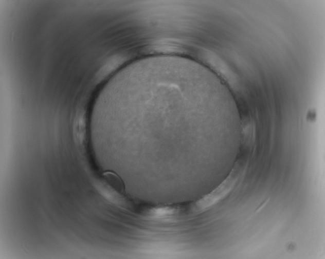 X0000102410158200808152013