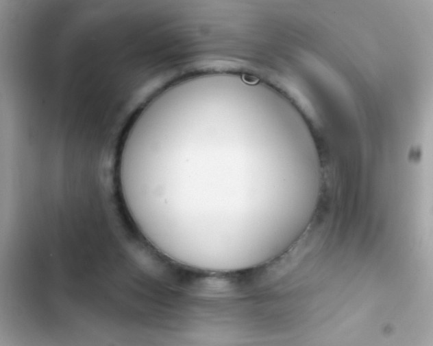 X0000102410159200808152013