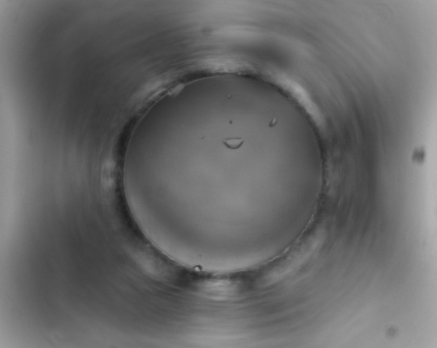 X0000102410161200808152013