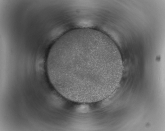 X0000102410162200808152013