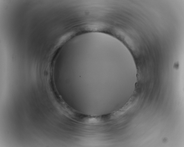 X0000102410163200808152013