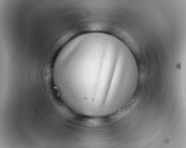 X0000102410164200808152013