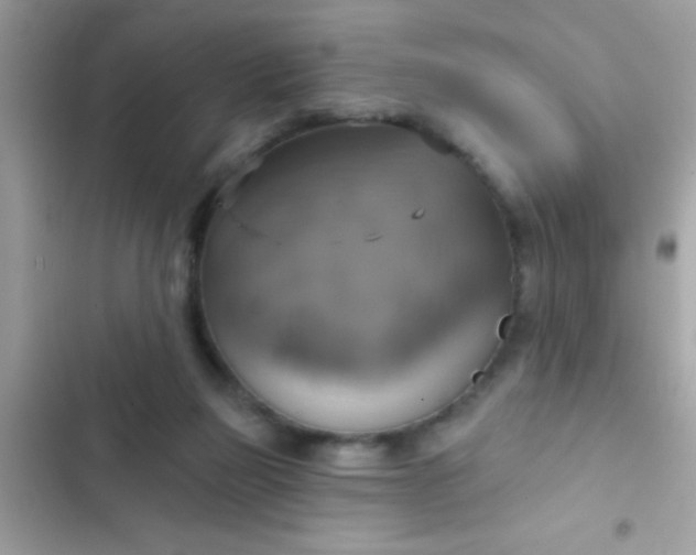 X0000102410165200808152013