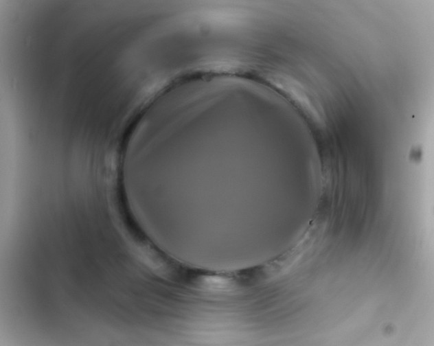 X0000102410167200808152013