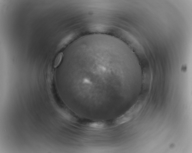 X0000102410168200808152013