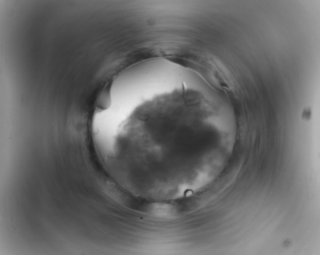 X0000102410169200808152013