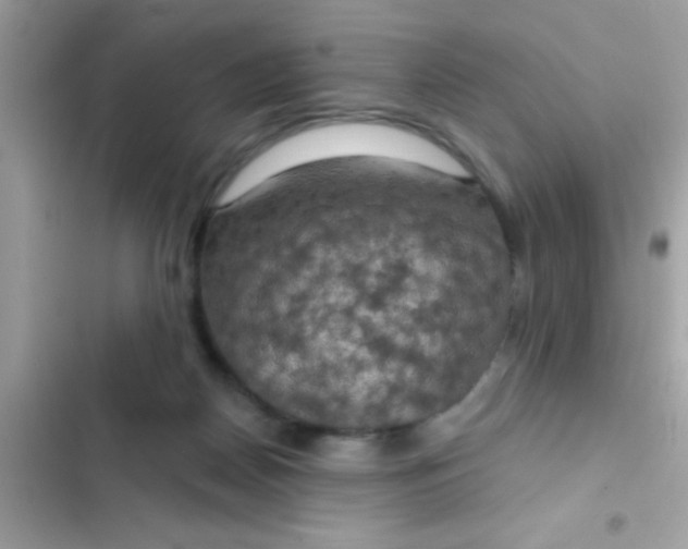 X0000102410170200808152013