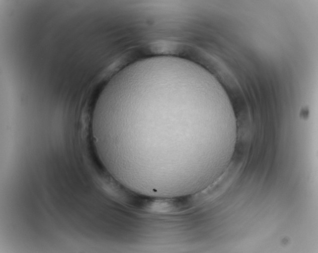 X0000102410171200808152013