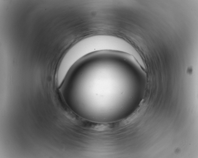 X0000102410172200808152013