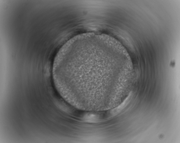 X0000102410174200808152013