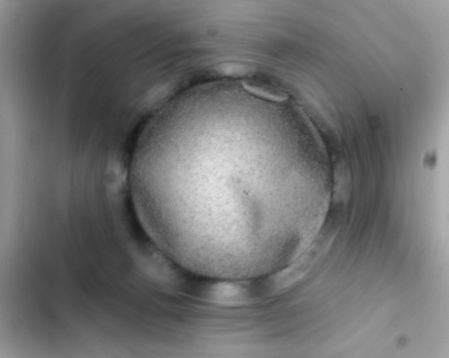 X0000102410176200808152013