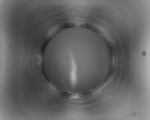 X0000102410177200808152013