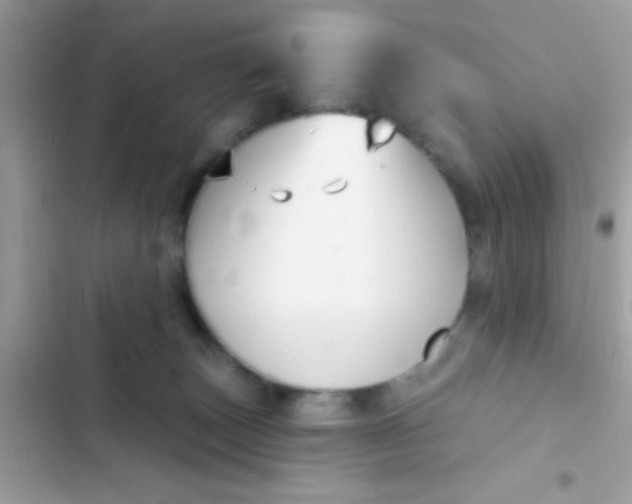 X0000102410179200808152013